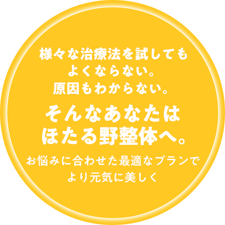 様々な治療法を試してもよくならない。原因もわからない。そんなあなたはほたる野整体へ。お悩みに合わせた最適なプランでより元気に美しく